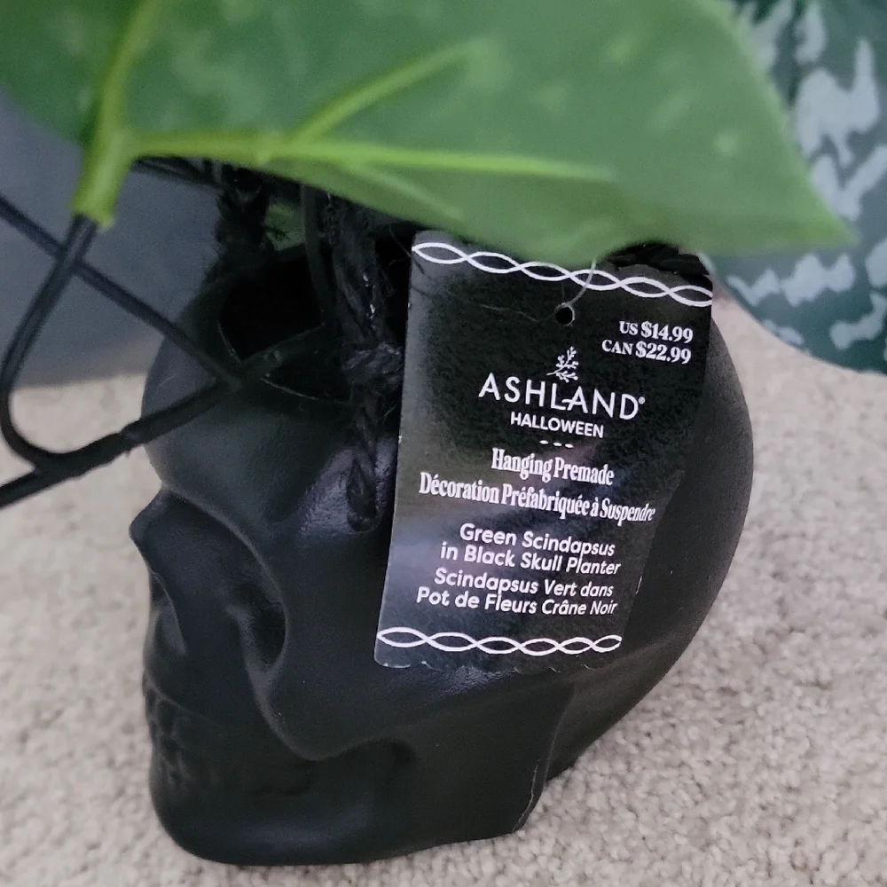New 2 Ashland Halloween Black and Cream Skull Planters